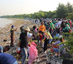 How thousands of volunteers transformed Manila Bay’s beaches of trash into a wildlife sanctuary