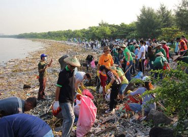 How thousands of volunteers transformed Manila Bay’s beaches of trash into a wildlife sanctuary